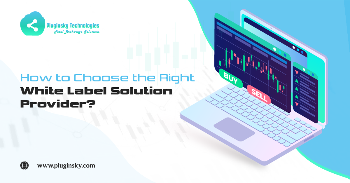  How to Choose the Right White Label Provider: Succeed with Pluginsky’s Solution