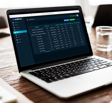 RMS (Risk Management system) 1